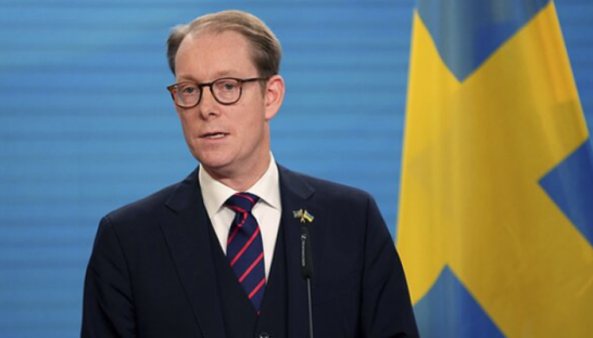 Забув паспорт: Глава МЗС Швеції не приїхав в Україну
