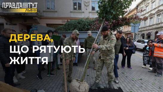 Дерева, що рятують життя: у Львові висадили дерева в межах ініціативи «Пташки перемоги»