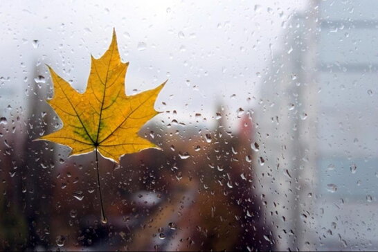 По всій території України прогнозують дощі