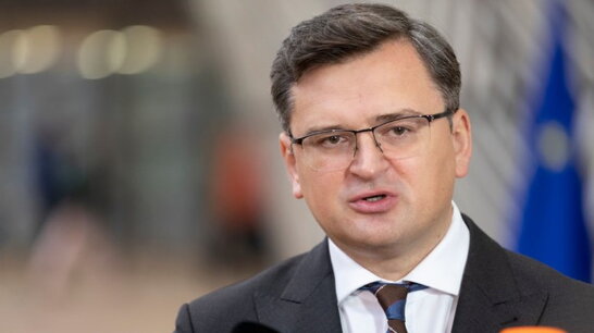 Кулеба підтримав необхідність запровадження множинного громадянства