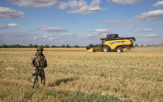 На Запоріжжі окупанти планують вивезти до рф 1,5 мільйона тонн зерна