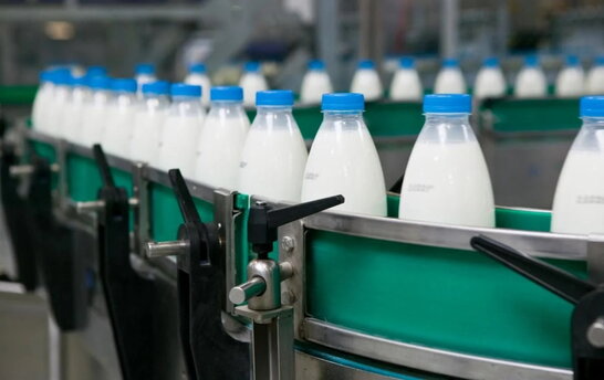 Україна збільшила експорт молочної продукції
