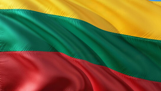 У Литві спрямовуватимуть гроші із штрафів за недотримання санкцій на відновлення України