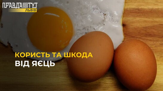 Яйця: користь та шкода | Розповідає лікар