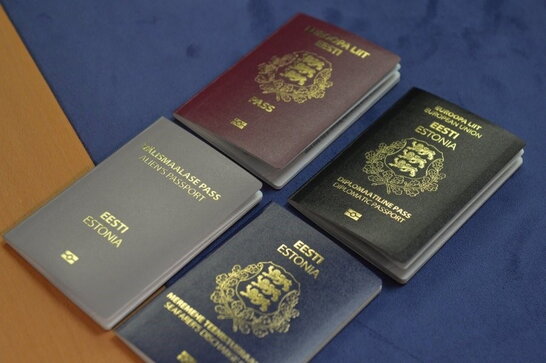 Влада Естонії розглядає можливість депортації бажаючих отримати громадянство рф