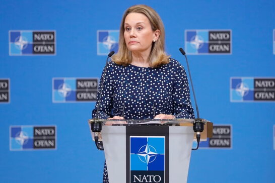 НАТО збільшує виробництво зброї та боєприпасів - посол США а Альянсі