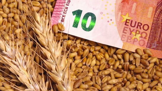 Україна експортувала понад 18 мільйонів тонн зернових за пів року