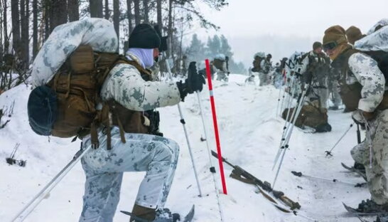 Завтра розпочинаються навчання північних країн НАТО Nordic Response 2024