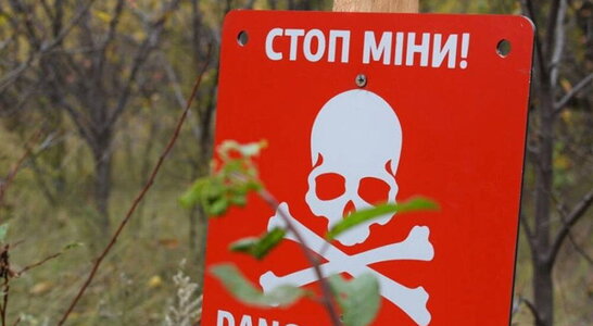 У лісі на Волині підірвалося троє людей