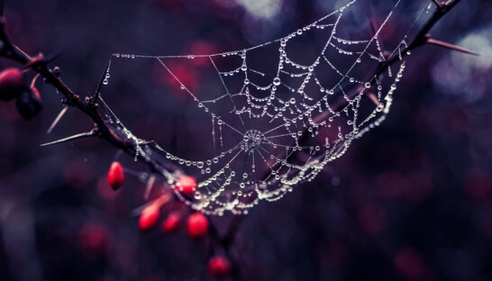 В Україні прогнозують хмарність, та до 13°