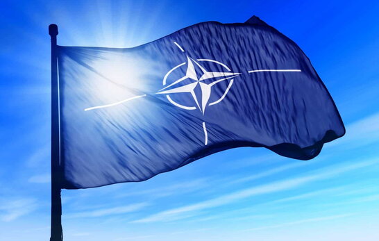Латвія та Естонія закликають відновити у межах НАТО призов до армії