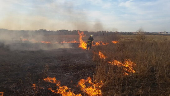 Синоптики попереджають про надзвичайну пожежну небезпеку майже по всій Україні