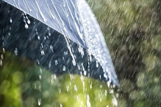 В Україні прогнозують дощі, вдень до +15°
