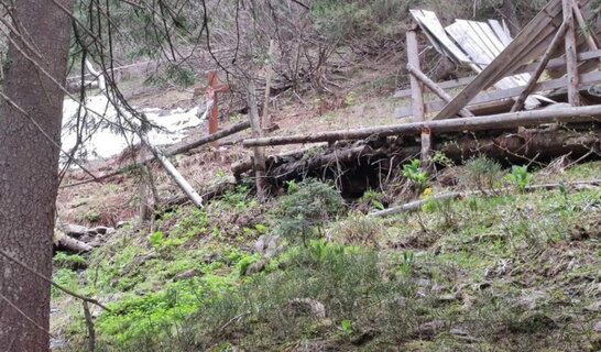 Прикордонники фіксують збільшення ведмедів на гірських маршрутах Закарпаття через ухилянтів