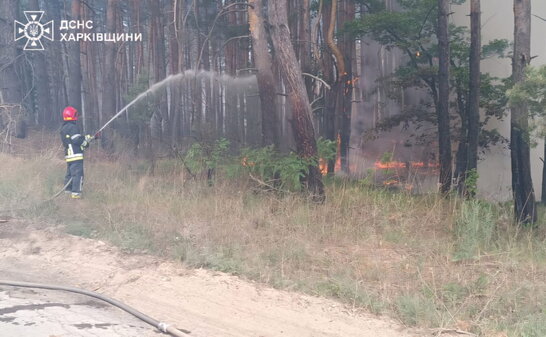 На Харківщині через російські обстріли горять 3000 гектарів лісу