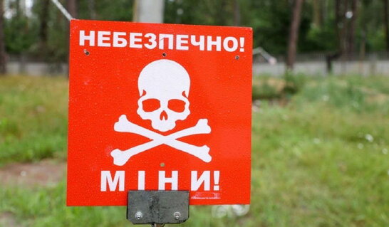 На Миколаївщині чоловік підірвався на протипіхотній міні