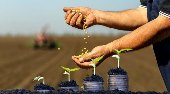 Уряд ухвалив рішення про грантову підтримку малих агровиробників
