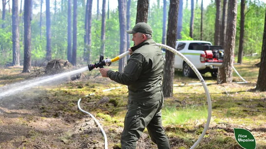 Щодня повістки отримують понад 100 лісників, темпи мобілізації зросли — гендиректор «Лісів України»