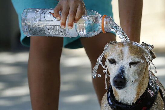 В Україні початок липня буде спекотним, вдень до +37 °C