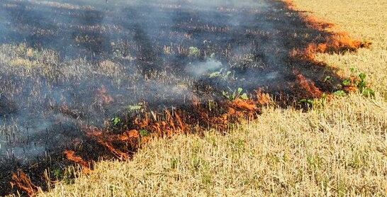 На Буковині загинув селянин, який спалював сміття