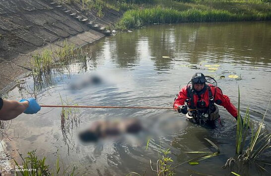 На Закарпатті потонули одразу дві дівчинки