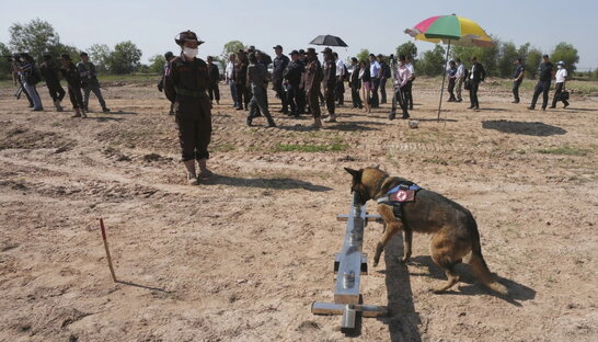 Японія і Камбоджа допоможуть з розмінуванням України
