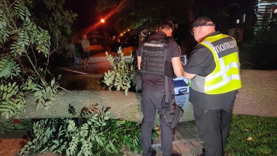 У Києві через падіння дерева в парку Шевченка загинула жінка