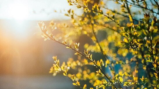 В Україні у вівторок без опадів, подекуди до +32°