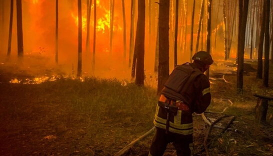 Через масштабну лісову пожежу евакуюють жителів села в Ізюмському районі