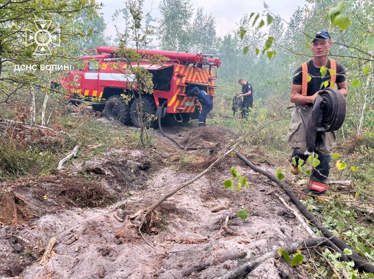 На Волині другий день горить ліс: місцеві допомогають рятувальникам