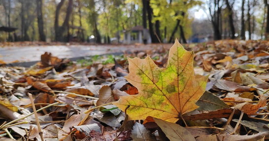 Завтра в Україні подекуди мокрий сніг та дощ, вночі до 5° морозу