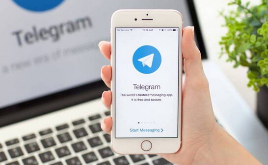 В КНУ ім. Т. Шевченка заборонили користуватися Telegram для роботи