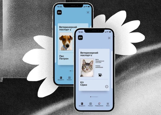 Цифрова ініціатива в сфері ветеринарної медицини: паспорт домашнього улюбленця в Дії