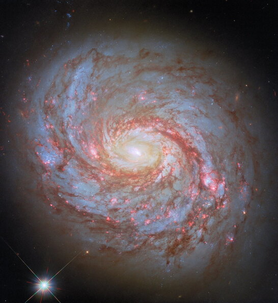 Hubble зафіксував зображення спіральної галактики у сузір’ї Кита