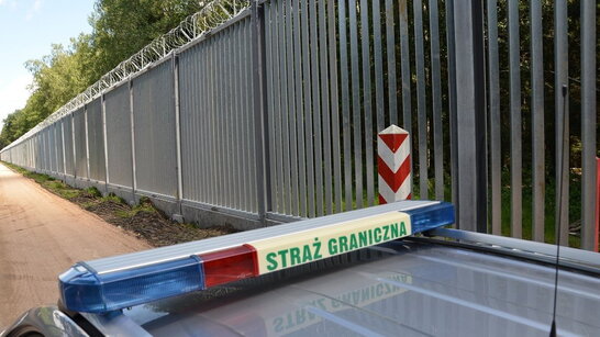 У Польщі зупинили понад 250 спроб нелегального прориву мігрантів з Білорусі