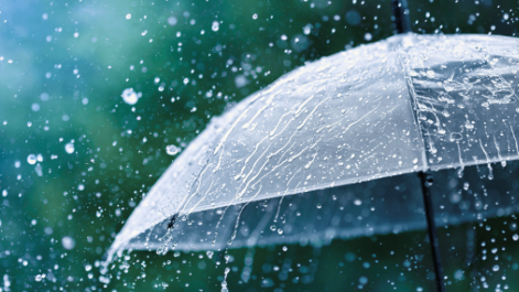 Дощ та прохолода: якою буде погода 24 квітня