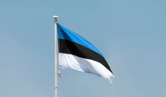 Російський винищувач залетів у повітряний простір Естонії — на інцидент відреагувало НАТО