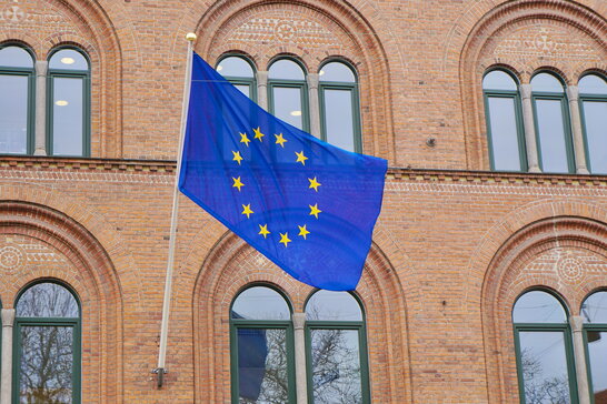"Цифрове повноліття": ЄС розглядає запровадження вікових обмежень для соцмереж