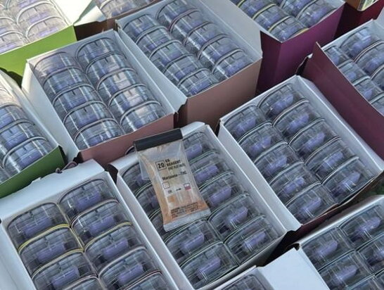 Правоохоронці викрили канал контрабанди психотропів із Німеччини до України
