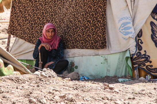 «Талібан» заборонив книги жінок та викладання прав людини в університетах Афганістану