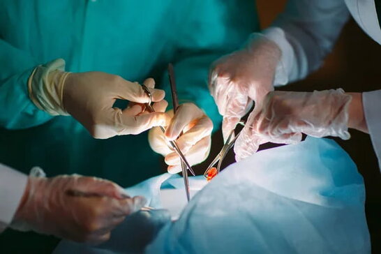 Львів знову перший в Україні за кількістю пересадок органів