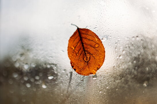 Прогноз погоди в Україні на 20 жовтня: дощі, мокрий сніг та тумани