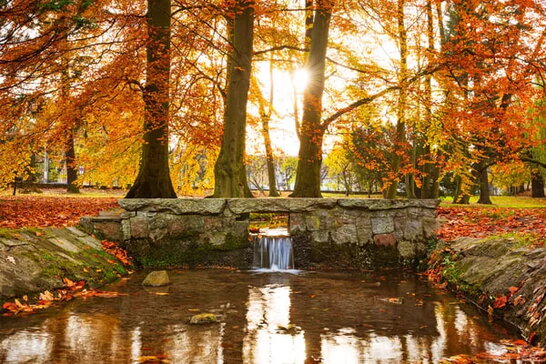 22 жовтня: гороскоп, іменини, свята