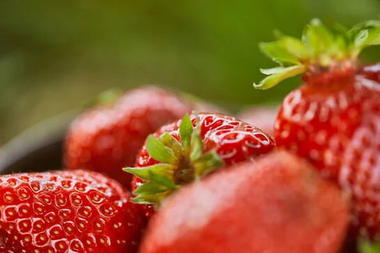 Топ-10 найкорисніших продуктів проти старіння організму