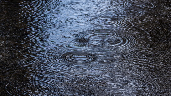 Погода в Україні на 29 жовтня: дощі та сильні пориви вітру