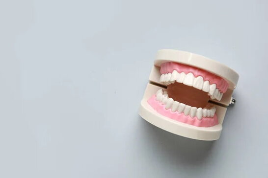 Чому зуби це не кістки: пояснення вчених