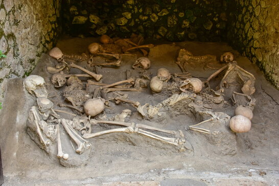 Археологи вперше виявили гормони у кістках: крок до визначення вагітності давніх жінок