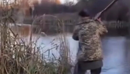 Бив вагітну кішку веслом і знімав на відео – інцидент на Житомирщині