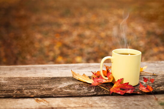 11 листопада: гороскоп, іменини, свята