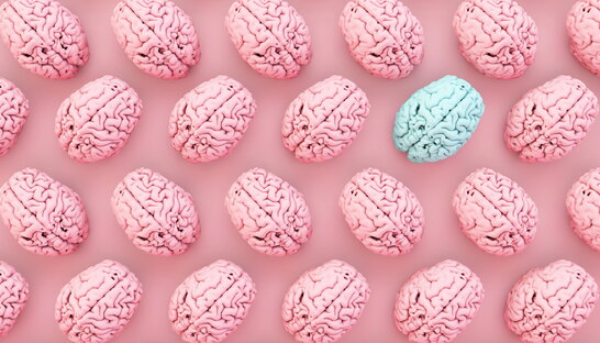 Як знання мов впливає на біологічний вік – дослідження